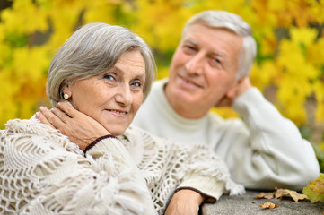 Portrait of elderly couple at table in forest