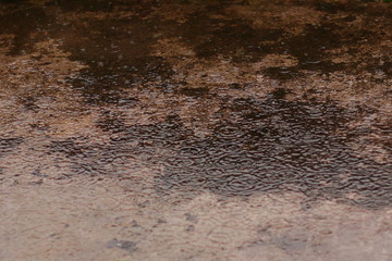 Water on the concrete