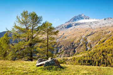 Fototapeta na wymiar Chiareggio - Valmalenco (IT) - Panorama autunnale dall'Alpe dell'Oro