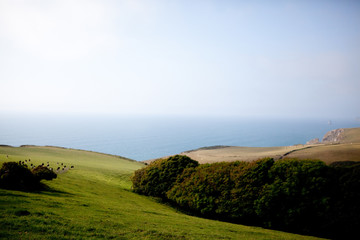 Coastal farm cornwall