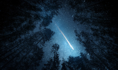 Beautiful night sky, the Milky Way, meteor and the trees. Elements of this image furnished by NASA.