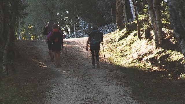 THREE PILGRIMS WALKING IN A PATH