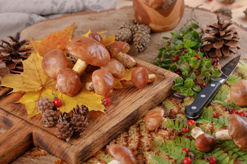 Mushroom Boletus over Wooden Background. Autumn Mushrooms. Boletus edulis over Wooden Background, close up on wood rustic table.