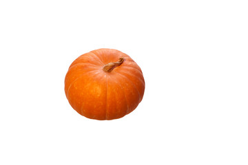 Оrange pumpkin on white background.  Side view