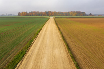 Autumn morning fog on green fields.