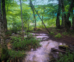 The waterfalls of Plitvicak jezera in Croatia