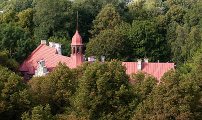 Fototapeta na wymiar Roof in the forest