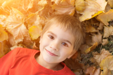 Fototapeta premium happy young boy in fall leaves