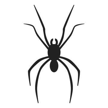 Spider icon. Simple illustration of spider vector icon for web design isolated on white background