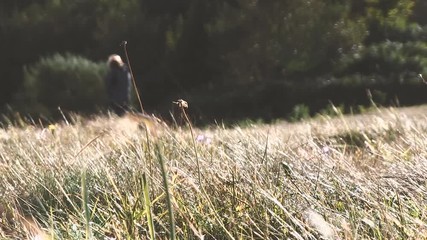 OLD COUPLE DEFOCUSED IN THE FIELD
