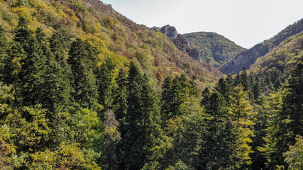 Aerial view of mountains in national park Cheile Nerei Beusnita in Romania. Part of Carpathian mountains with beautiful autumn colors.