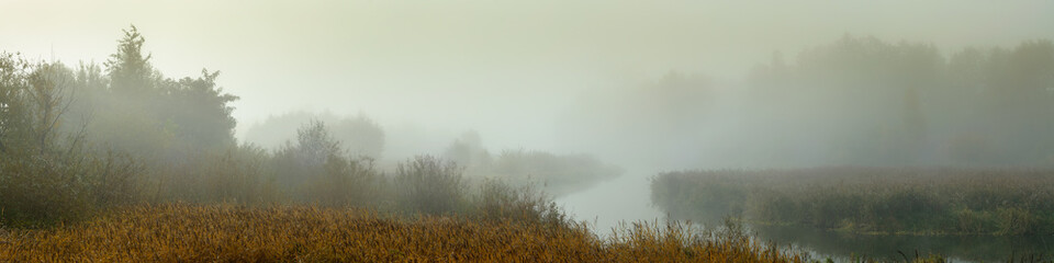 morning misty landscape. panoramic view of a narrow river with swampy shores in dense fog