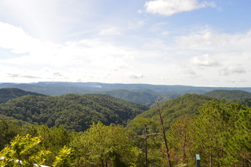 Obraz premium Green hill with the sky and clouds in the horizon. Trees and clouds in the background.City and houses in the backgound