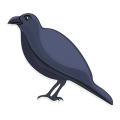 Black crow icon. Cartoon of black crow vector icon for web design isolated