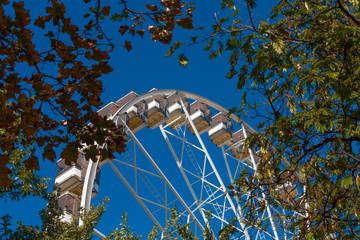 Ferris wheel
