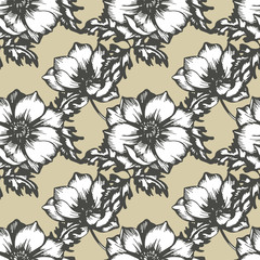 Vintage flowers anemones. Seamless pattern. Vector Illustration.