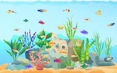 Fototapeta na wymiar Sea Plants and Limless Animals Vector Illustration
