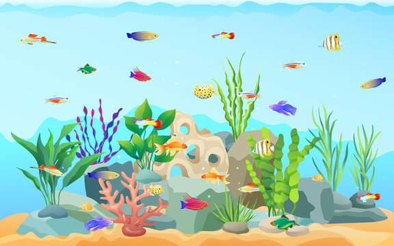 Sea Plants and Limless Animals Vector Illustration