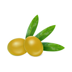 Fresh olives icon. Realistic illustration of fresh olives vector icon for web design
