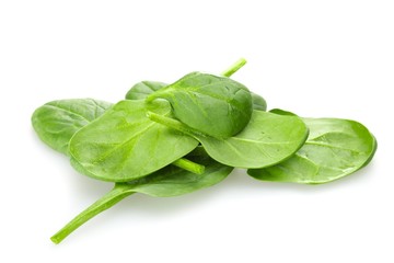 Young Spinach Leaves