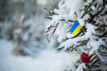 Ukraine, flag. Christmas background outdoor. Christmas tree covered with snow and decorations and...