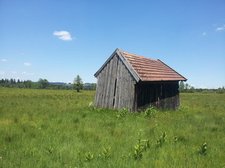 Obraz premium Bad Bayersoien, Hütte, Bayern, Oberbayern