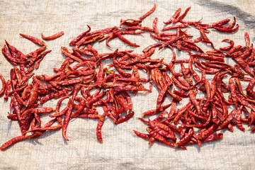 Fototapeta premium Red hot pepper on wooden background