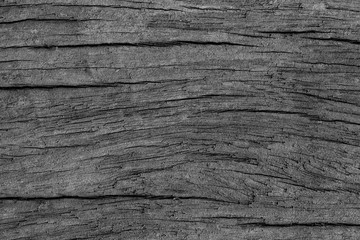 Obraz premium Wood texture background