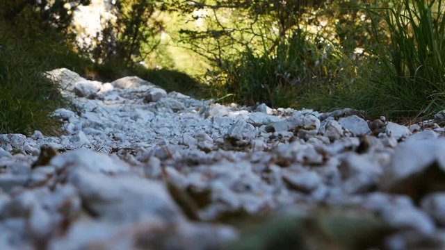Escursionista che cammina in montagna, visuale raso terra