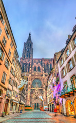 Christmas decorations near the Cathedral in Strasbourg, France - obrazy, fototapety, plakaty
