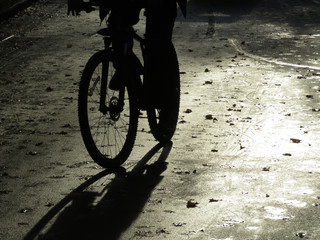 Silhouette of a cyclist on the wet road covered with autumn leaves. Person riding a bike, cycling concept, healthy lifestyle