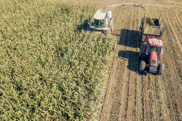 Agriculture cutting silage and filling trailer in field Aerial View