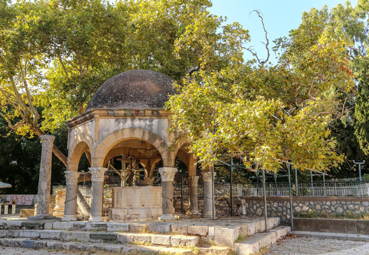 The tree of Hippocrates at Kos island in Greece