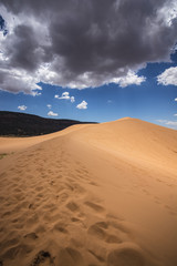 Coral Pink Sand Dunes State Park (2) - Kanab - Utah	