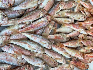 Roher Fisch auf dem Fischm