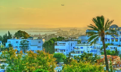 Fotobehang View of Sidi Bou Said, a town near Tunis, Tunisia © Leonid Andronov