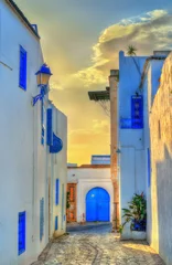 Foto op Canvas Traditional houses in Sidi Bou Said, Tunisia © Leonid Andronov