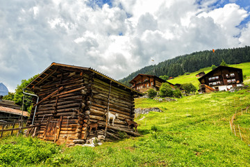 Fototapeta na wymiar Switzerland Log Cabins with Mountain Goats