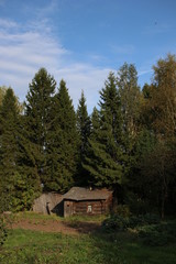  old house in the forest