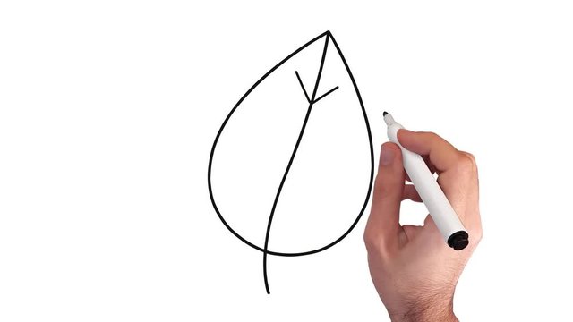 Blatt – Whiteboard Animation