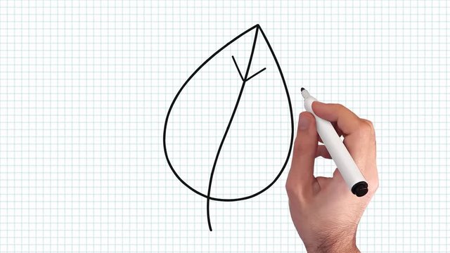 Blatt – Whiteboard Animation auf kariertem Blatt Papier