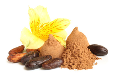 Cacao powder, cacao beans, and chocolate sweets with flower of alstroemeria