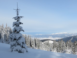 Obraz premium mountain winter landscape with trees and snow