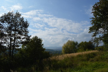 Fototapeta premium Truskavets