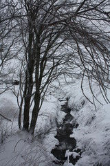 paseo por la nieve