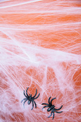 Halloween creepy cobweb spiders web with an orange background