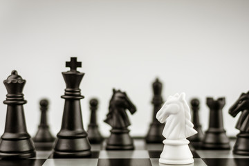 White horse chess figures on board.- business idea for competition. - Success and Leadership concept