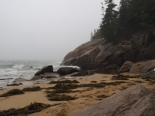 Fototapeta na wymiar Vernebelte Küste am Sand Beach, Maine