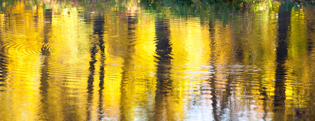 Abstract blurred reflection of autumnal yellow trees with leaves in a pond water with waves