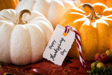 Thanksgiving greeting card with handwriting 